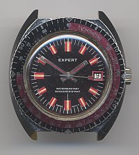 Expert mens' watch