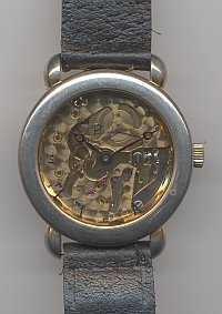 Piranha see-through watch