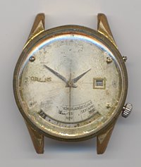 Orient Multi Year Calendar