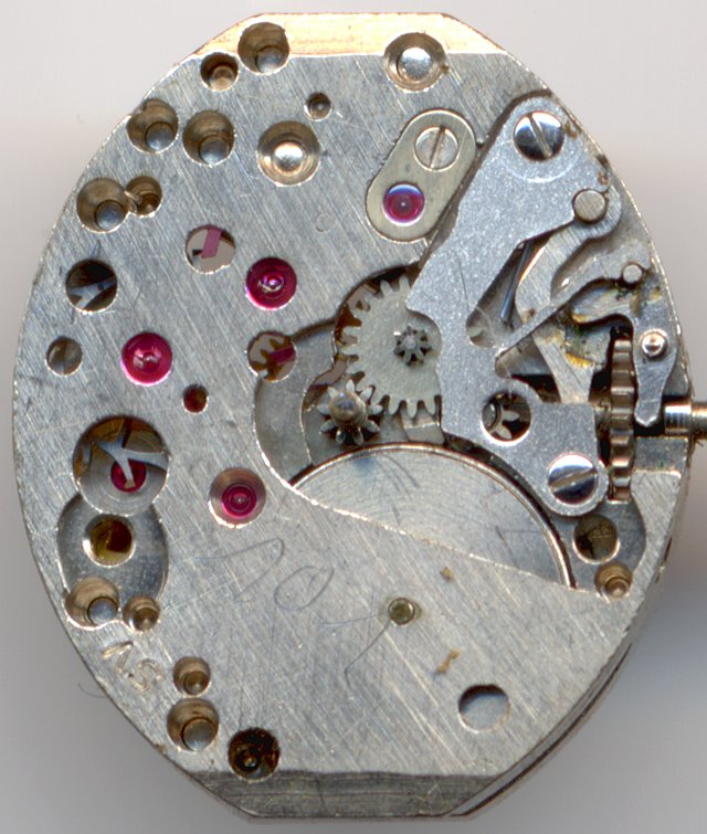 dial view, version without shock protection dial view, version without shock protection