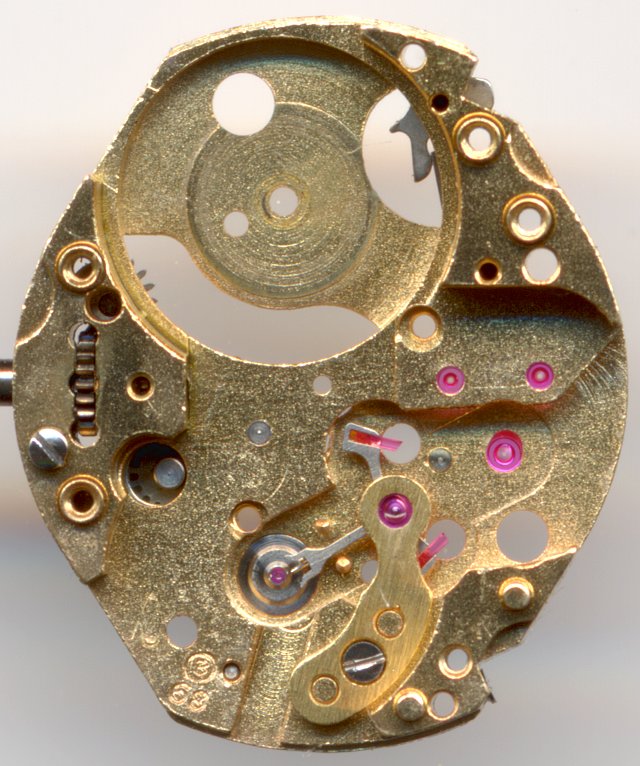 main plate main plate