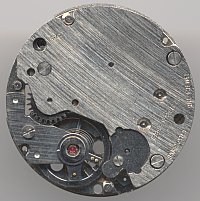 Brac 502 Brac 502