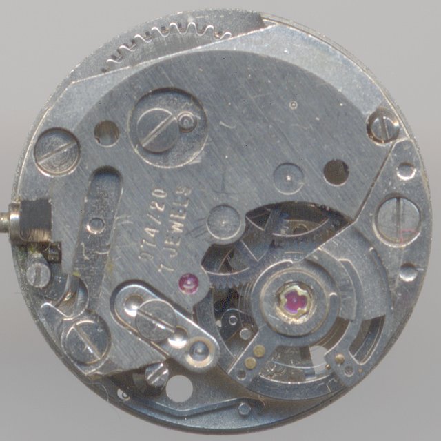version with 7 jewels and shock protection