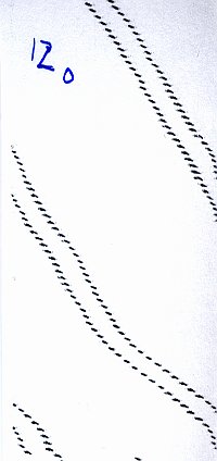 12 up
