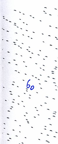 6 up