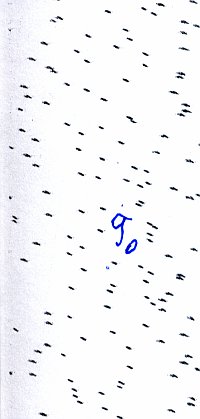 9 up