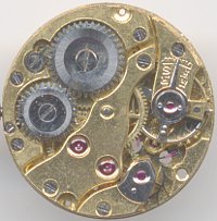 Felsa 146
