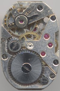 Felsa 302