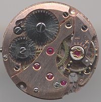 Felsa 4022