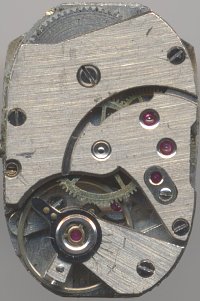 Felsa 4045