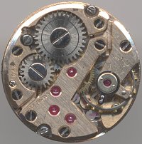 FHF 34