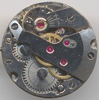 FHF 64