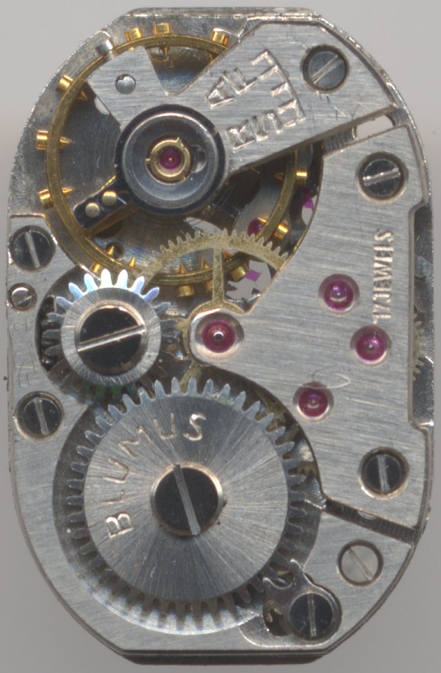 shock protected version