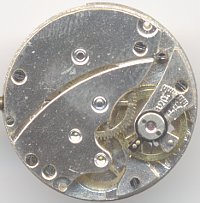 Kasper 100