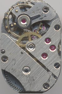 Kasper 600