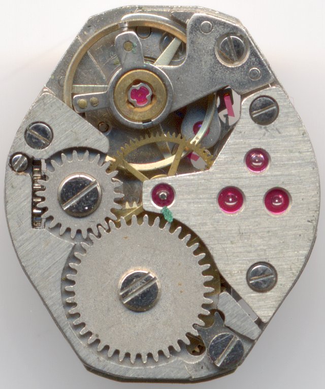 version with novodiac shock protection version with novodiac shock protection