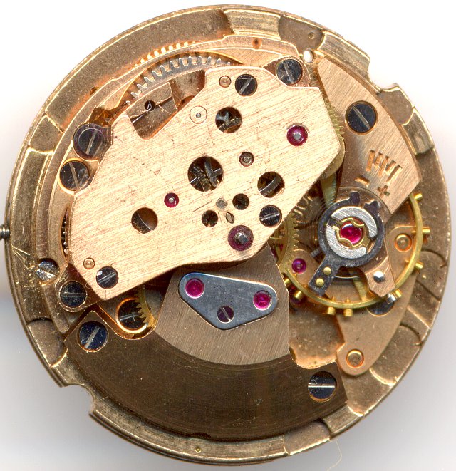 movement view without rotor