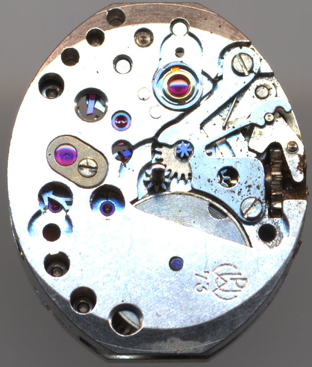 dial view with Monorex shock protection dial view with Monorex shock protection