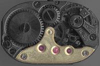 Skate fat, sharp at right front, 4 gears Skate fat, sharp at right front, 4 gears