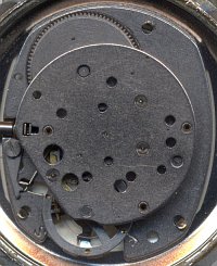 Timex M24
