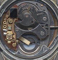 Timex M66